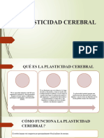 Plasticidad Cerebral