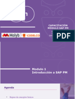 Molyb-Mod-1-Introducción A SAP PM