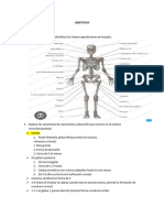 Objetivos 5 Examen Casi Completo Contestado