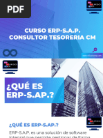 Curso SAP CASH MANAGEMENT S/4 HANA 