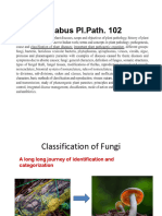 Fungal Taxonomic Classifications