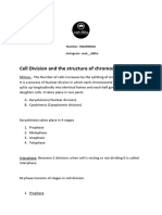 Cell Devision (Raah Dikha)