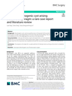 Ectopic Bronchogenic Cyst