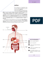 Sist Digestivo 1