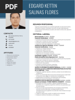 CV Documentado