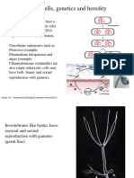 Gametes and Genetics 2023