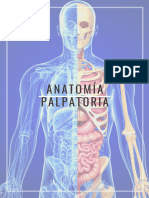 Anatomia Palpatoria