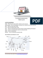 p.6 Science Lesson Notes Term 2 & 3 - Compressed