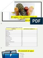 El Agua y La Conservación de Los Alimentos