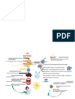 D.W. Trabajo. Bioquimica 2024