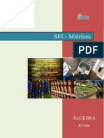 SEL - Matrices - Cramer