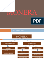 Monera