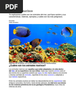 Animales Marinos