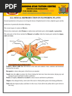 12.2. Sexual Reproduction in Flowering Plants