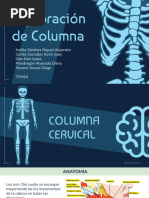 Exploración de Columna Vertebral