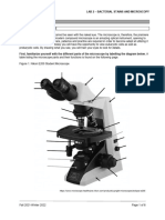 F21 - Bio 104 Lab2 Stains and Microscopy 2