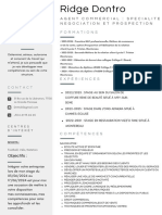 CV Professionnel Gris Simple