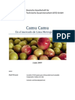 Camu Camu - Desarrollo Del Mercado Local. Parte 1