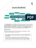 Anatomía Radiográfica Mandibular