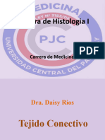 Tejido Conectivo