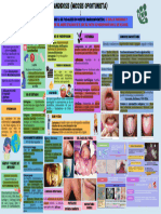 Candidiasis