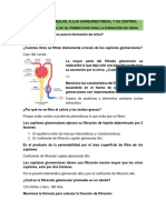 27 Filtración Glomerular