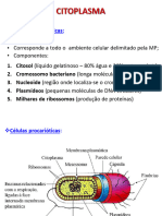 Citoplasma - Slides