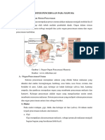 Materi Sistem Pencernaan Manusia