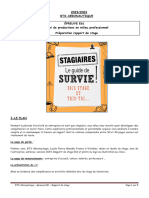 E61 - Rapport de Stage