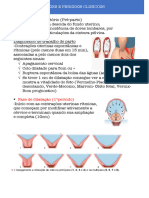 Aula 4 Contraçoes e Periodos Clinicos