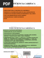 Insuficiencia Cardiaca