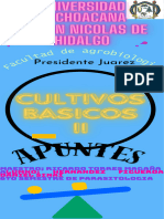 Cultivos Basicos II