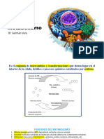 Tema 4 Metabilismo GV