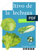 Guia de Cultivo Lechuga