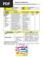 Sesión Comunicacion Lectura Derechos de Niño