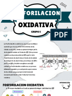 Fosforilación Oxidativa