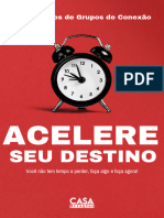 Acelere Seu Destino PDF