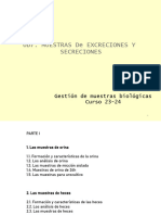 UD7 M de Excreción y Secreción. PARTE I - CAST