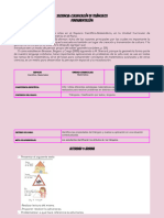 Secuencia - Clasificaciòn de Triàngulos