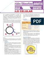 Ciclo Celular para Quinto Grado de Secundaria