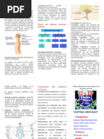 Triptico SISTEMA NERVIOSO