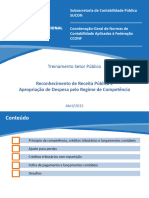 Reconhecimento de Receita Publica e Apropriacao de Despesa Pelo R de Competencia TESOURO