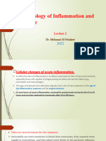 Pathology of Inflammation and Repair: Dr. Mohanad Al-Hindawi