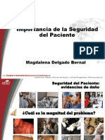 Importanciadelaseguridad MagdalenaDelgado