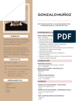 CV Gonzalo H Muñoz