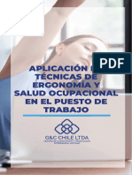 Técnicas de Ergonomía Y Salud Ocupacional en El Puesto de Trabajo