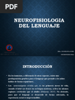 Clase de Neurofisologia Del Lenguaje Semana 15