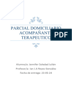 Parcial Domiciliario Acompañante Terapeutico