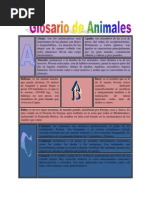 Glosario de Animales