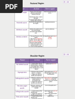 Upper Limb Muscles' Summary Without O-I